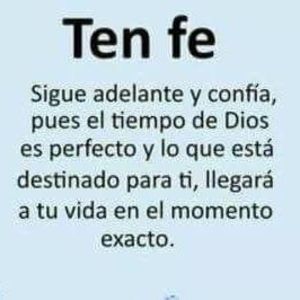 Meet your Posher, Lucy